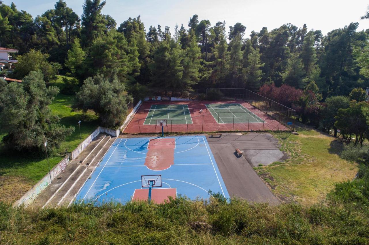 Villa Katerina Siviri Exteriör bild
